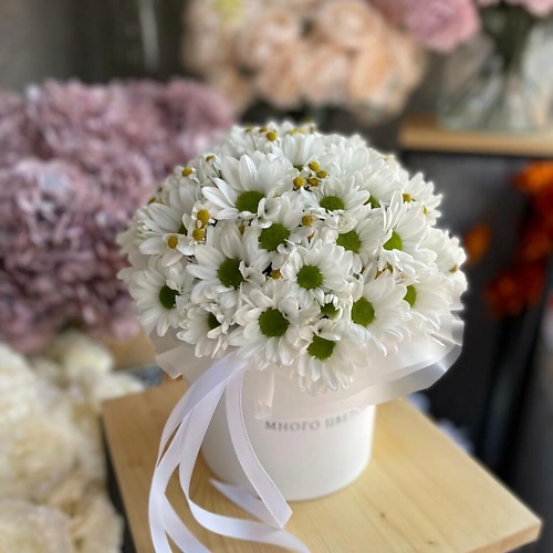 

МНОГО ЦВЕТОВ ЦВЕТОЧНЫЙ МАГАЗИН Коробочка из кустовых хризантем и танацетума, Коробочка из кустовых хризантем и танацетума