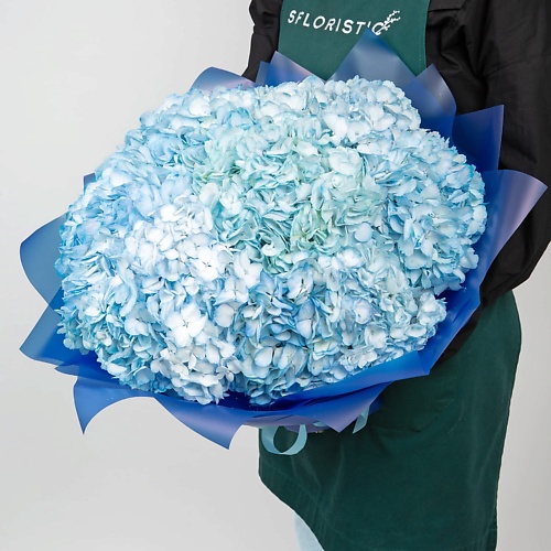 

STUDIO FLORISTIC Букет Гортензий 15 шт «Нежные грёзы», Букет Гортензий 15 шт «Нежные грёзы»