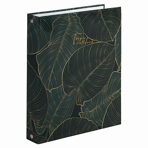 

BRAUBERG Тетрадь на кольцах, Тетрадь на кольцах