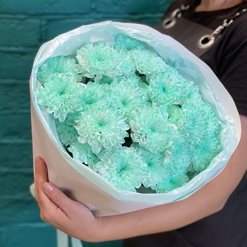 

ЦВЕТЫ МИШКИ Букет из 5 бирюзовых хризантем, Букет из 5 бирюзовых хризантем