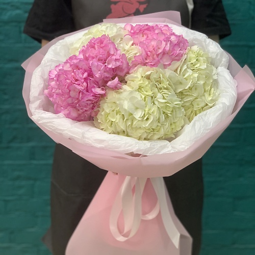 

ЦВЕТЫ МИШКИ Букет из 5 бело-розовых гортензий, Букет из 5 бело-розовых гортензий
