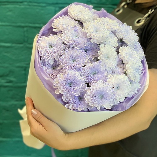 

ЦВЕТЫ МИШКИ Букет из 5 лавандовых хризантем, Букет из 5 лавандовых хризантем