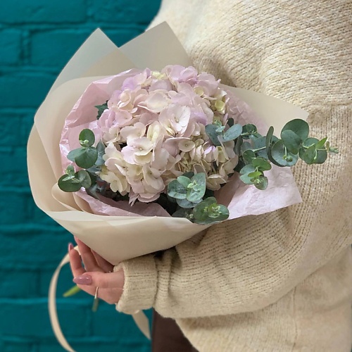 

ЦВЕТЫ МИШКИ Букет из гортензии и эвкалипта, Букет из гортензии и эвкалипта