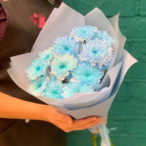 

ЦВЕТЫ МИШКИ Букет из 3 голубых хризантем, Букет из 3 голубых хризантем