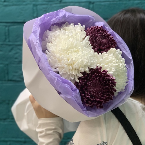 

ЦВЕТЫ МИШКИ Букет 5 разноцветных хризантем, Букет 5 разноцветных хризантем