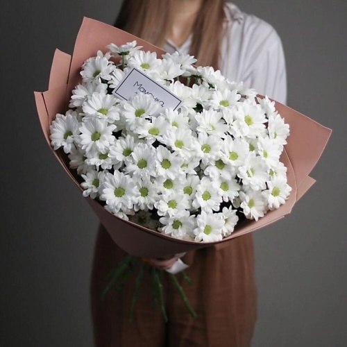 

FLOWERTVER Ромашковые хризантемы, Ромашковые хризантемы