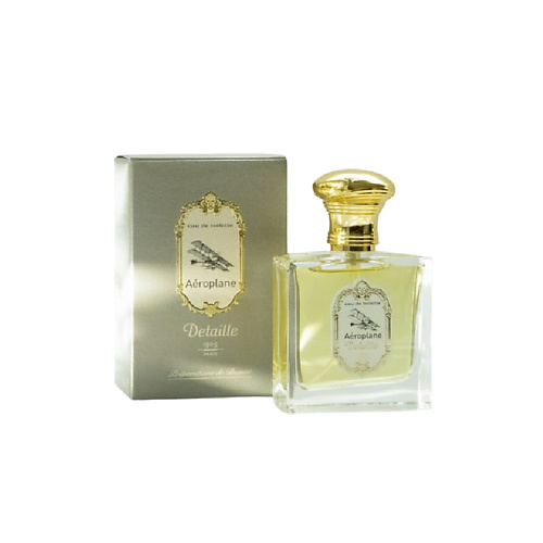 DETAILLE 1905 PARIS Aéroplane 30