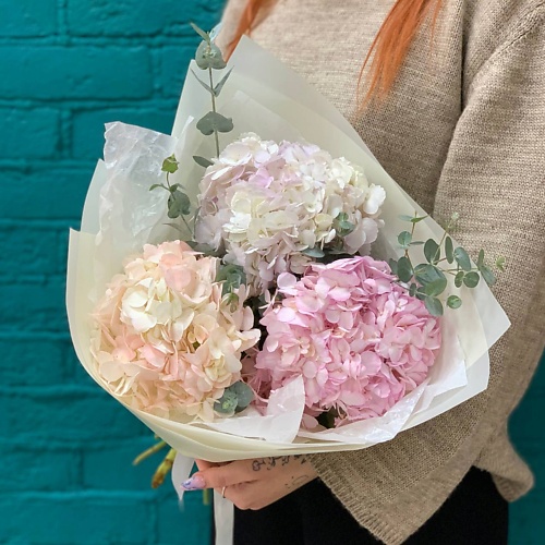 

ЦВЕТЫ МИШКИ Букет из 3 гортензий, Букет из 3 гортензий