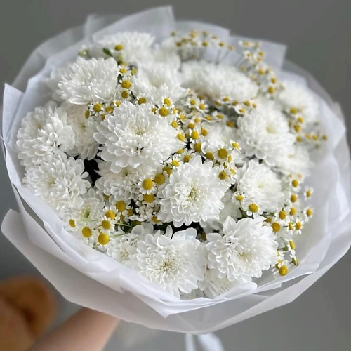 FLOWERTVER Хризантемы и ромашки 3590₽