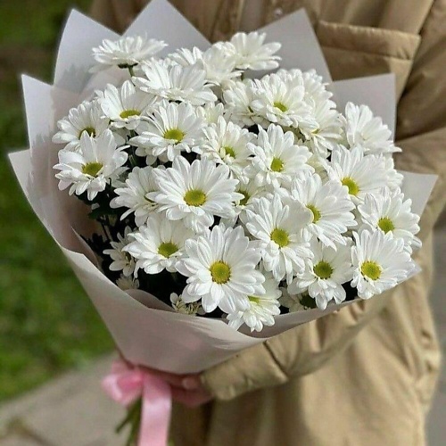 

FLOWERTVER 5 ромашкообразных хризантем в упаковке, 5 ромашкообразных хризантем в упаковке