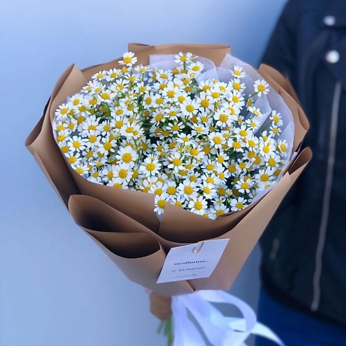 

FLOWERTVER Ромашки, Ромашки