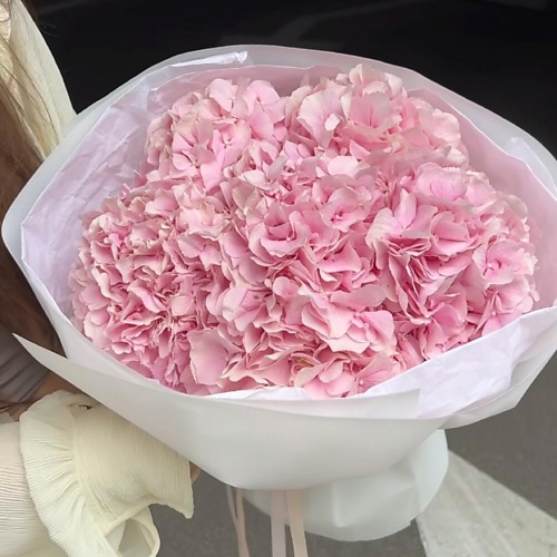 

МНОГО ЦВЕТОВ ЦВЕТОЧНЫЙ МАГАЗИН Монобукет из розовых гортензий, Монобукет из розовых гортензий