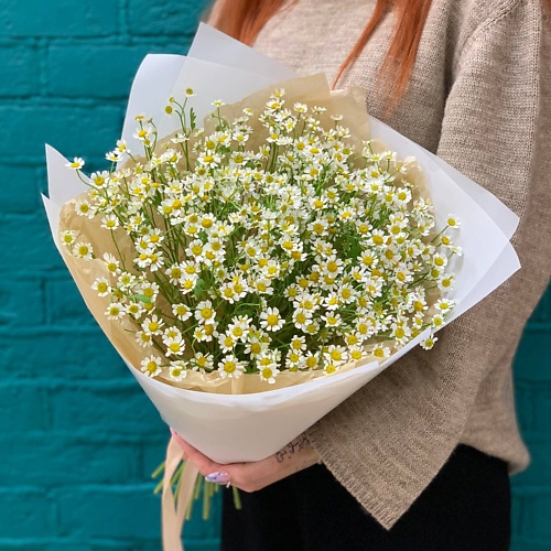 

ЦВЕТЫ МИШКИ Букет из 17 веток танацетума, Букет из 17 веток танацетума