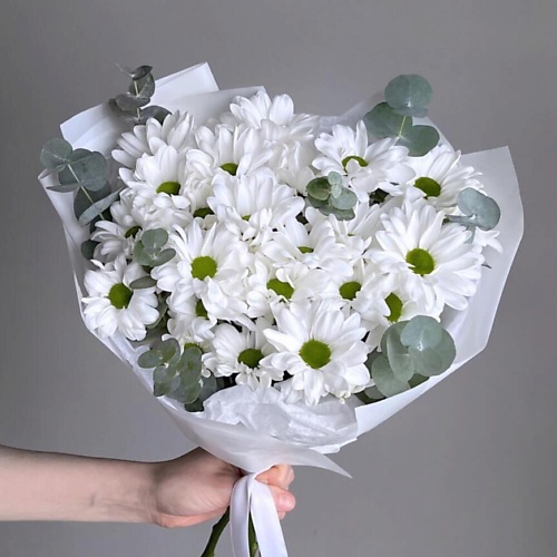 МНОГО ЦВЕТОВ ЦВЕТОЧНЫЙ МАГАЗИН Монобукет 5 Кустовых Хризантем с Эвкалиптом 1950₽