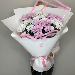 Букет из 7 белых и розовых ромашковых кустовых хризантем