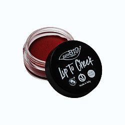 Тинт для губ и щёк Lip to Cheek