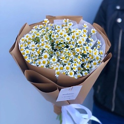 Ромашки