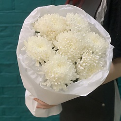 Букет 7 белых хризантем