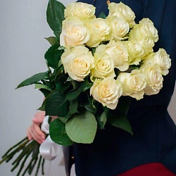 Классика из 15 белых роз Эквадор лентой