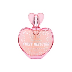 First Meeting #softdivalution