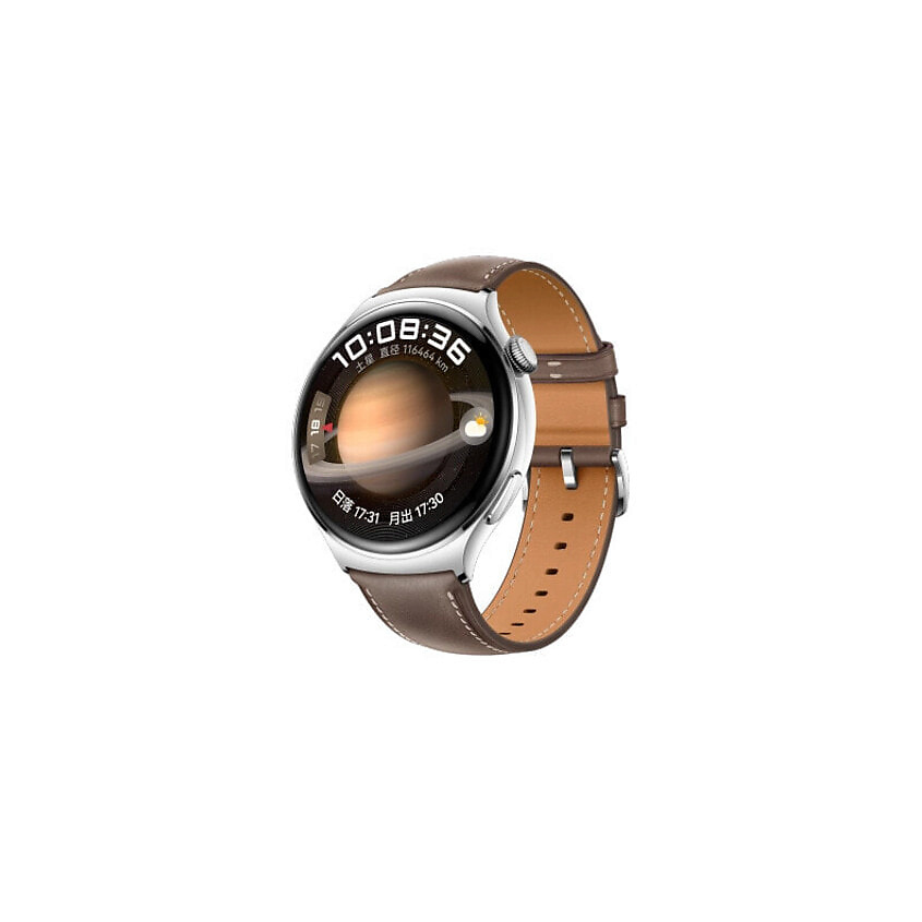 Изображение товара HUAWEI WATCH 4 Flagship умные часы с AMOLED дисплеем и GPS коричневый