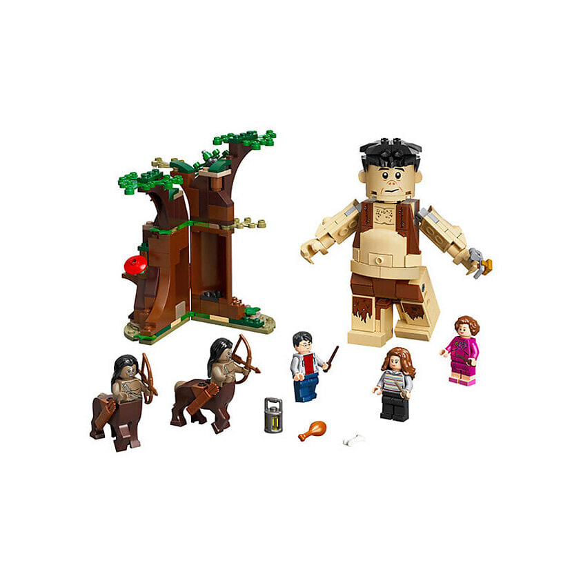 Изображение товара LEGO Конструктор Harry Potter Встреча с Амбридж в Запретном Лесу 75967