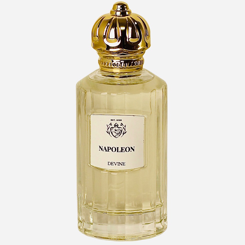 Изображение товара DEVINE Napoleon парфюмерная вода 100 мл мужской свежий древесный аромат