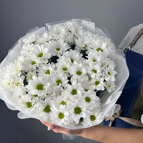 

ШАРЛАНДИЯ ГРИНЛАНДИЯ Букет из 9 белых кустовых хризантем, Букет из 9 белых кустовых хризантем