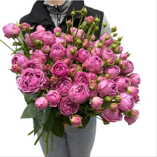 

ТАНЕЦ ЦВЕТОВ Пионовидные кустовые розы Marvel, Пионовидные кустовые розы Marvel