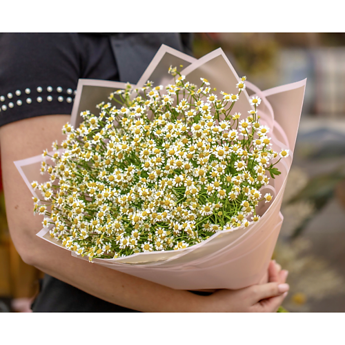 MAMOKA FLOWER STUDIO Букет ромашки живые кустовые 25 веток. Монобукет.