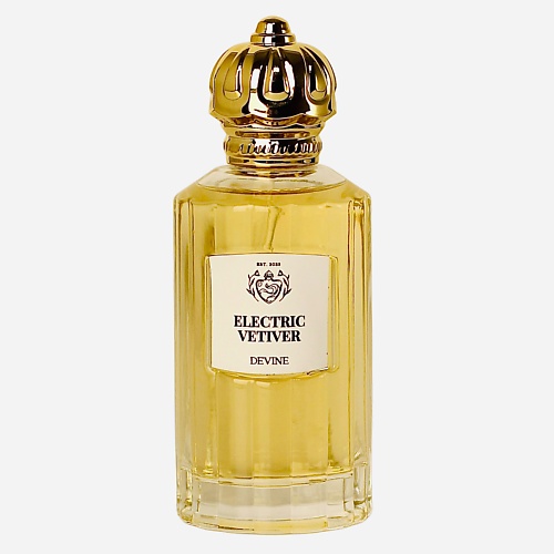 

DEVINE Парфюмерная вода Electric Vetiver 100, Парфюмерная вода Electric Vetiver