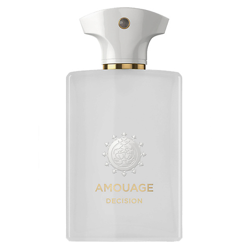 

AMOUAGE Decision 100, Decision