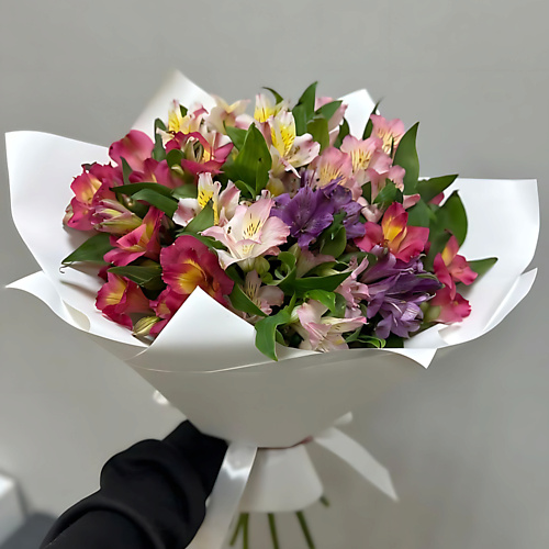 

FLOR MASTER Альстромерии, Альстромерии