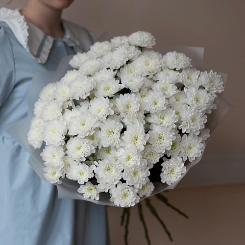 

FLOWERS DE LUXE БУТИК ЦВЕТОВ И ПОДАРКОВ Пышный букет кустовой хризантемы 15 шт "Облако", Пышный букет кустовой хризантемы 15 шт "Облако"