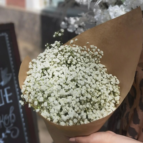 

ШАРЛАНДИЯ ГРИНЛАНДИЯ Гипсофила в крафте, Гипсофила в крафте