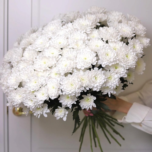 

FLOWERS DE LUXE БУТИК ЦВЕТОВ И ПОДАРКОВ Воздушное облако из 25 кустовой сортовой махровой хризантемы, Воздушное облако из 25 кустовой сортовой махровой хризантемы