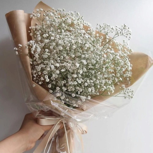 

ТАНЕЦ ЦВЕТОВ ОБЛАЧКО ЛЮБВИ, ОБЛАЧКО ЛЮБВИ