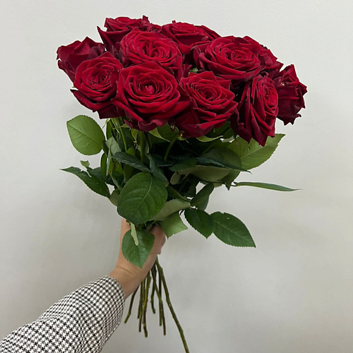 

FLOR MASTER Красные розы, Красные розы