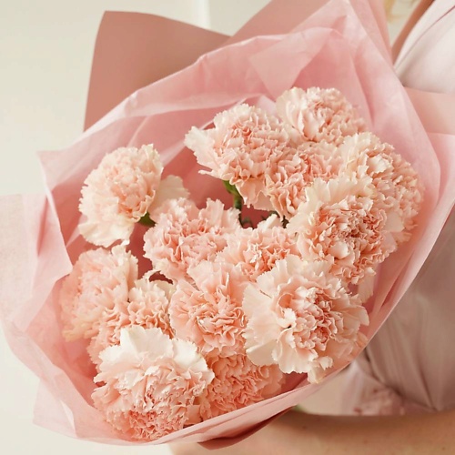 MAMOKA FLOWER STUDIO Букет с розовой гвоздикой. 15 шт. Живые цветы. Монобукет