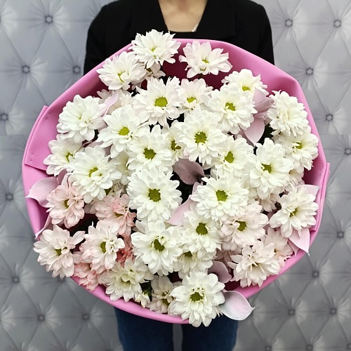 

ТАНЕЦ ЦВЕТОВ Белый шоколад, Белый шоколад