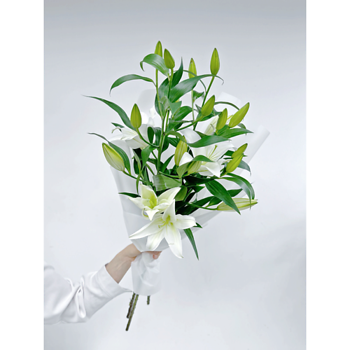 

MAMOKA FLOWER STUDIO Моно букет с ароматной лилией. Живые цветы. "Мамока" Хватай букет., Моно букет с ароматной лилией. Живые цветы. "Мамока" Хватай букет.