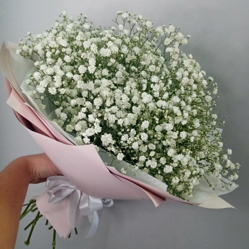 

ТАНЕЦ ЦВЕТОВ Облако Нежности, Облако Нежности