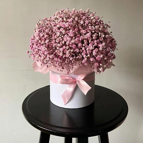 

FLOWERTVER Розовая гипсофила в коробке, Розовая гипсофила в коробке