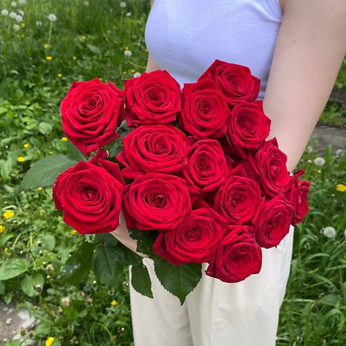 

ТАНЕЦ ЦВЕТОВ Розы ПРЕМИУМ 60 см, Розы ПРЕМИУМ 60 см