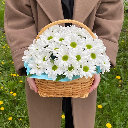 

ТАНЕЦ ЦВЕТОВ Весенняя ромашка, Весенняя ромашка