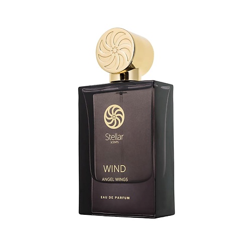 

STELLAR SCENTS Wind Angel Wings 60, Wind Angel Wings