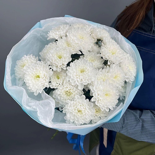 

ШАРЛАНДИЯ ГРИНЛАНДИЯ Букет из 5 белых хризантем "Облачко", Букет из 5 белых хризантем "Облачко"