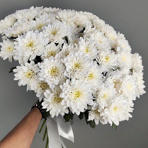 

ШАРЛАНДИЯ ГРИНЛАНДИЯ Букет из 11 кустовых хризантем, Букет из 11 кустовых хризантем
