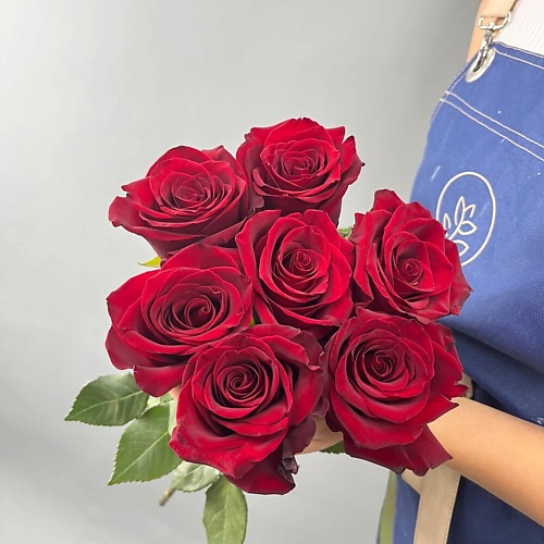 

ШАРЛАНДИЯ ГРИНЛАНДИЯ Букет из 7 красных роз Эквадор, Букет из 7 красных роз Эквадор