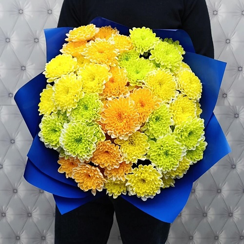 

ТАНЕЦ ЦВЕТОВ Эффектный бархат, Эффектный бархат